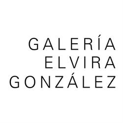 Galeria Elvira Gonzalez en Madrid (Centro) - Horario de apertura