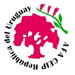CEIP República del Uruguay en Madrid (Latina) - Horario de apertura