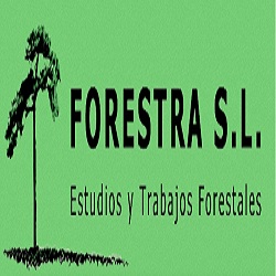 Horario de apertura Forestra, Jaén