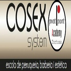 Horario de apertura Academia De Peluquería Y Estética Cosex, Tortosa
