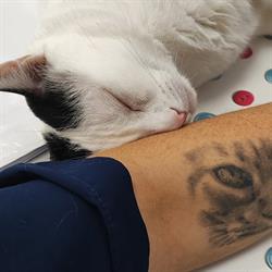 Horario de apertura Argos Clinica Veterinaria, Palencia