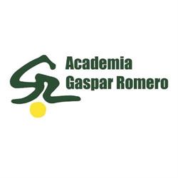 Horario de apertura Academia Gaspar Romero, Albacete