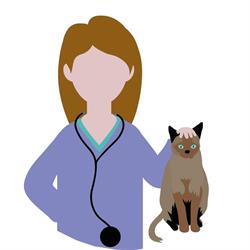 Horario de apertura Clínica Veterinaria Polop, 