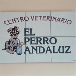 El Perro Andaluz en Málaga (Distrito Centro) - Horario de apertura