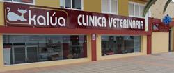 Horario de apertura Kalua, Gran Tarajal