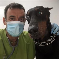 Clínica Veterinaria Los Rosales en Madrid (Villaverde) - Horario de apertura