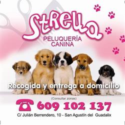 Horario de apertura STRELLA Peluquería Canina, San Agustín de Guadalix