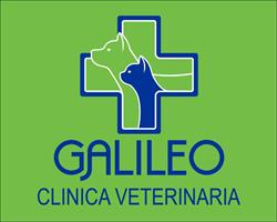 Clínica Veterinaria Galileo en Granada (Ronda) - Horario de apertura