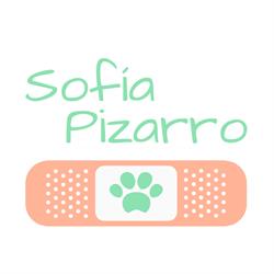 Clínica Veterinaria El Parque en Gijón (Este) - Horario de apertura