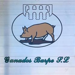 Horario de apertura Ganados Barpe S.l., Santa María la Real de Nieva