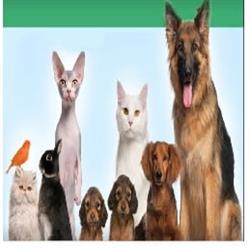 Horario de apertura Clinica Veterinaria El Calvario, Tacoronte