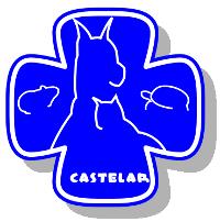 Horario de apertura Clinica Veterinaria Castelar, San Pedro del Pinatar