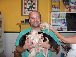 Horario de apertura Clinica Veterinaria los Molinos, Almería
