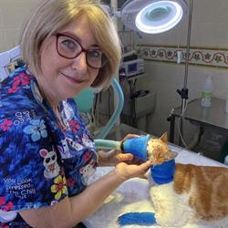 Horario de apertura Clinica Veterinaria San Garcia, Algeciras