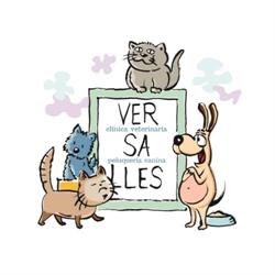 Horario de apertura CLINICA VETERINARIA VERSALLES, Avilés