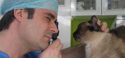 Centro Quirúrgico Veterinario Dr. Pablo Tobío en Madrid (Hortaleza) - Horario de apertura