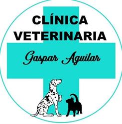 Clínica Veterinaria Gaspar Aguilar en Valencia (Patraix) - Horario de apertura