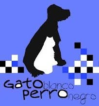 Horario de apertura Centro Veterinario Gato Blanco Perro Negro, Los Arquillos
