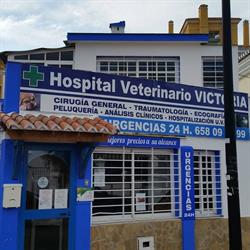 Horario de apertura Hospital Veterinario Victoria, Rincón de la Victoria