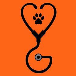 Horario de apertura Clínica Veterinaria Guadalix de la Sierra,
