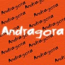 Horario de apertura Andragora, Santa Cruz de la Palma