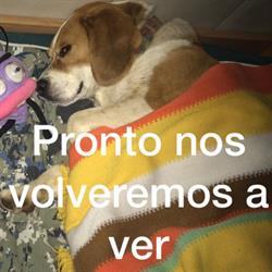Horario de apertura Mesón Albergue Tio Pepe, Villar de Mazarife