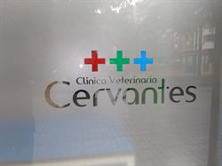 Horario de apertura Clinica Veterinaria Cervantes, Lorca