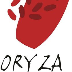 Horario de apertura Restaurante Oryza, Granada