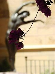 Horario de apertura Rosa Dels Vents, Reus