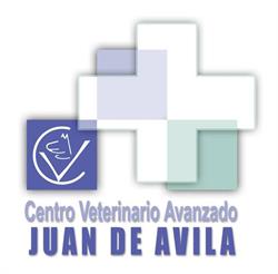Horario de apertura Juan de Avila, Ciudad Real