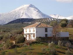 Horario de apertura Cortijo de La Abuela Cristina, Las Paradejas