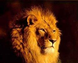 Muebles los Leones en Valencia (Camins Al Grau) - Horario de apertura