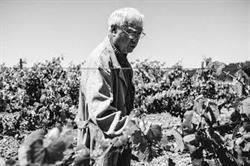 Horario de apertura Bodegas y Viñedos Pedro Casis, Gordaliza del Pino