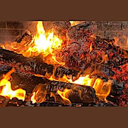 ASADOR RESTAURANTE EL PASTORET VALENCIA en Valencia (Quatre Carreres) - Horario de apertura