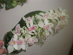 Horario de apertura Flores Marta, Zamora