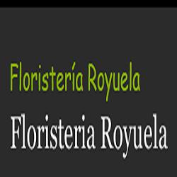 Horario de apertura Floristería Royuela, Azkoien