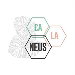Horario de apertura Casa Neus, Sant Vicenç de Castellet