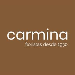 Horario de apertura Floristeria Carmina, Torrevieja
