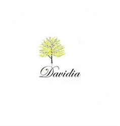 Horario de apertura DAVIDIA, Donostia-San Sebastián
