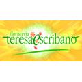 Horario de apertura Floristería Teresa Escribano, Alicante