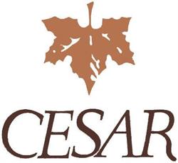 Horario de apertura Sastreria Boutique Cesar, Avilés