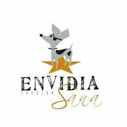 Horario de apertura Envidia Sana, Oviedo