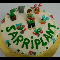 Horario de apertura Sarriplant, Sarria