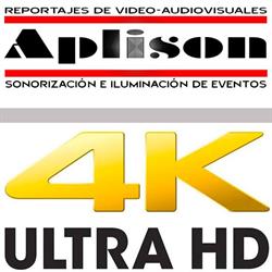Horario de apertura Aplison S.l.l., Castellón de la Plana