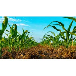 Horario de apertura Agrimor Sat, Navalmoral de la Mata