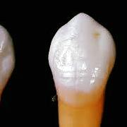 Horario de apertura Vinter Dental S.l., Móstoles