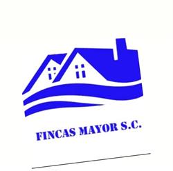 Horario de apertura Fincas Mayor S.c, Torrelavega