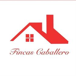 Horario de apertura Api Fincas Caballero, Valmojado