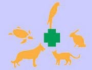 Clinica Veterinaria Blasco Ibañez 97 C.B. en Valencia (Algirós) - Horario de apertura