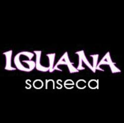Horario de apertura Iguana, Sonseca